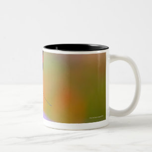 Tasse 2 Couleurs l'Orégon, Etats-Unis 2
