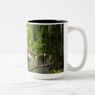 Tasse 2 Couleurs Louisiane Bayou