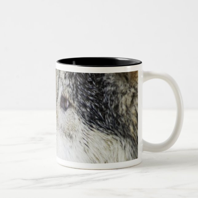 Tasse 2 Couleurs Loup (Droit)