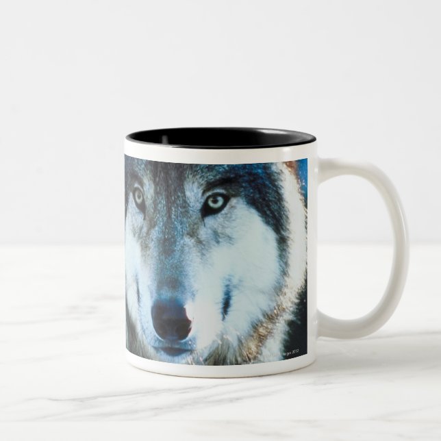 Tasse 2 Couleurs Loup de bois de construction (Droit)
