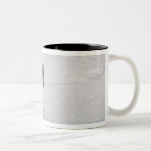 Tasse 2 Couleurs Loup fonctionnant dans la neige