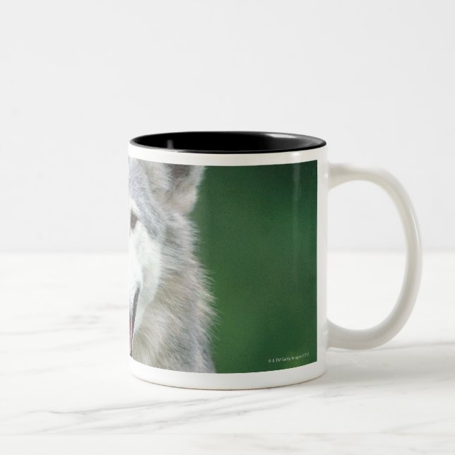 Tasse 2 Couleurs Loup gris 2 (Droit)