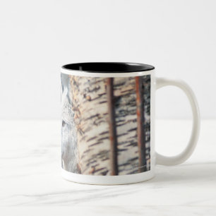 Tasse 2 Couleurs Loup gris derrière l'arbre