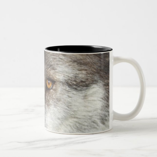 Tasse 2 Couleurs Loup (lupus de Canis) (Droit)