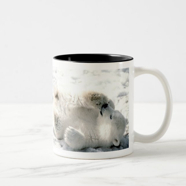Tasse 2 Couleurs L'ours blanc CUB attaquent (Droit)