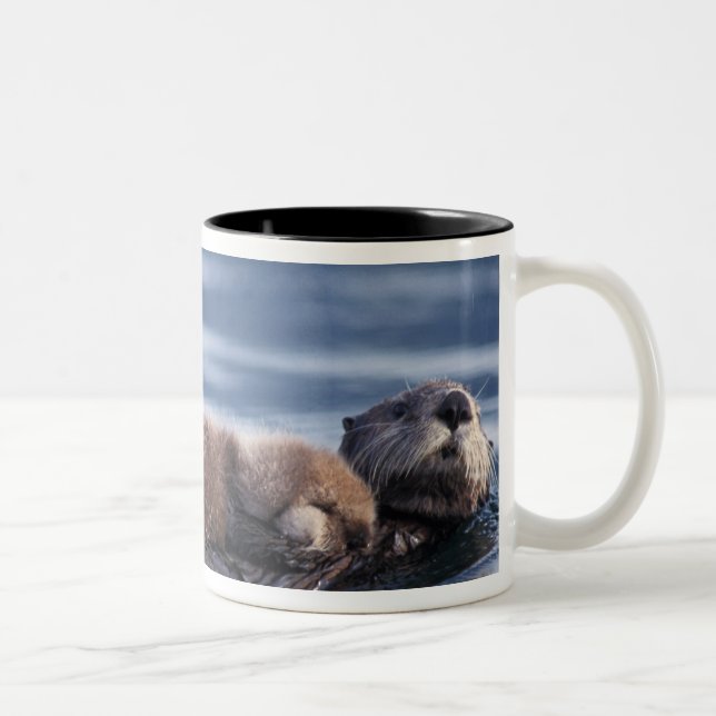 Tasse 2 Couleurs loutre de mer, Enhydra lutris lutris (Droit)