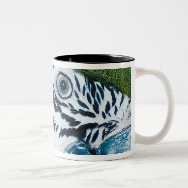 Tasse 2 Couleurs MacawÊ Bleu-et-jaune (Droit)