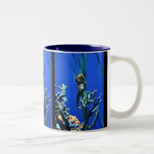 Tasse 2 Couleurs Magie d'hippocampe