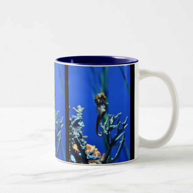 Tasse 2 Couleurs Magie d'hippocampe (Droit)