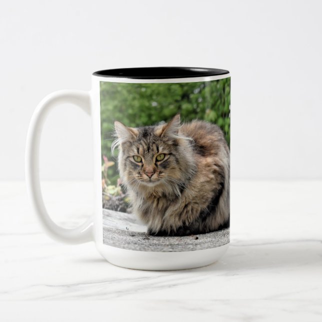 Tasse 2 Couleurs Maine Coon Kitty Cat (Gauche)