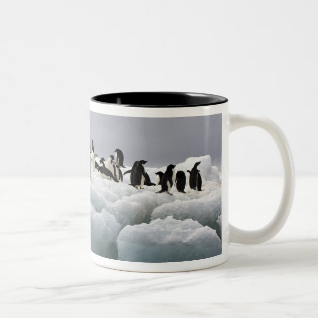 Tasse 2 Couleurs Manchot Adélie (Pygoscelis adeliae), (Droit)