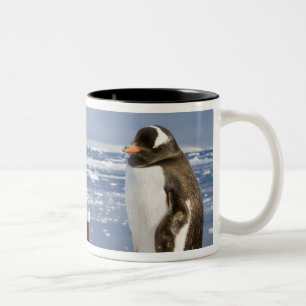 Tasse 2 Couleurs Manchot papou