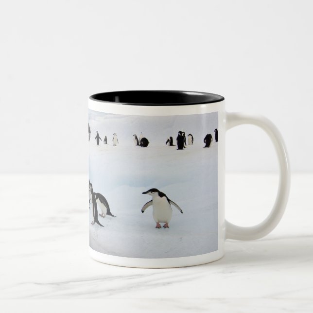Tasse 2 Couleurs Manchots à jugulaire (Droit)