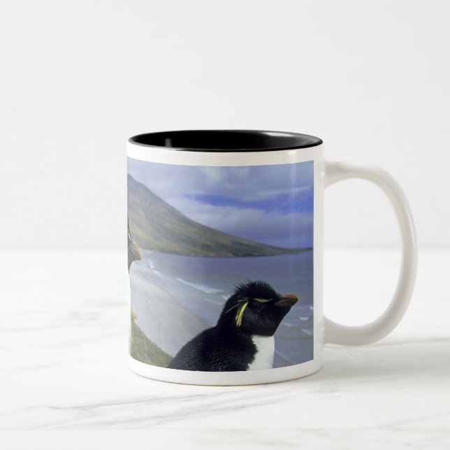 Tasse 2 Couleurs Manchots de Bourke, (Eudyptes chrysocome), (Droit)