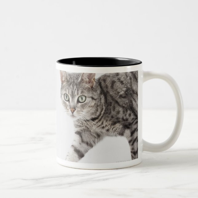 Tasse 2 Couleurs Marche de chat (Droit)