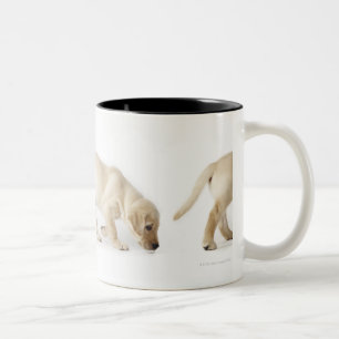 Tasse 2 Couleurs Marche de chiot de labrador retriever