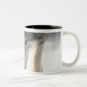 Tasse 2 Couleurs Marche de loup gris