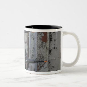 Tasse 2 Couleurs Marines chiliennes