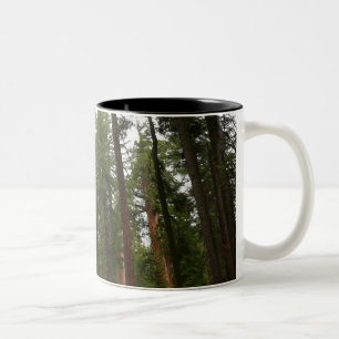 Tasse 2 Couleurs Mariposa Grove dans le parc national de Yosemite