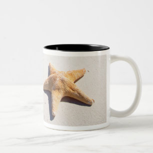 Tasse 2 Couleurs Maya de la Riviera