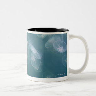 Tasse 2 Couleurs Méduses de lune