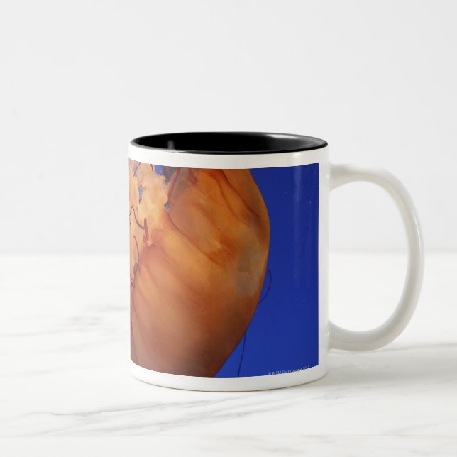 Tasse 2 Couleurs Méduses d'ortie de mer (Droit)