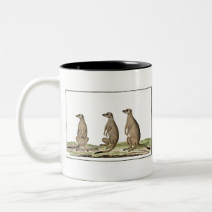 Tasse 2 Couleurs Meerkats Suricata suricatta