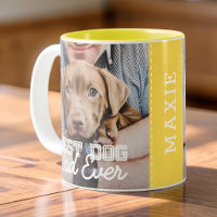 Meilleur Papa de Chien Ever Moderne Photo Personna