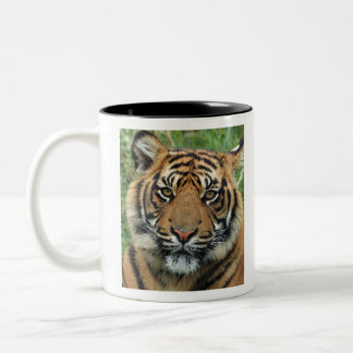 Tasse 2 Couleurs Meilleur tigre