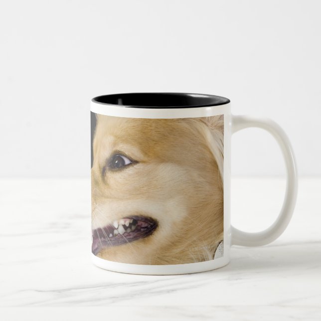 Tasse 2 Couleurs mélange de cocker sur son dos (Droit)