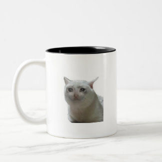 Tasse 2 Couleurs Mème de chat en pleurs