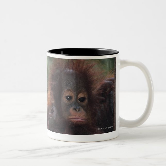 Tasse 2 Couleurs Mère d'orang-outan avec le bébé (Droit)