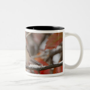 Tasse 2 Couleurs Mésange à tête noire adulte dans la neige