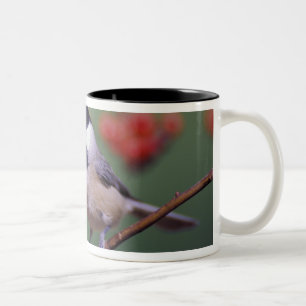 Tasse 2 Couleurs Mésange de Caroline