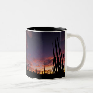 Tasse 2 Couleurs Mexique, Basse-Californie du Nord, Catavina Desert