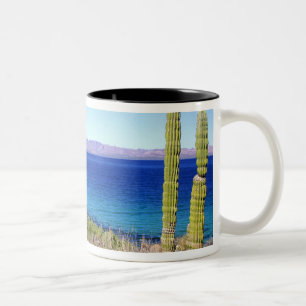Tasse 2 Couleurs Mexique, Basse-Californie du Sud, Mulege, Bahia 2