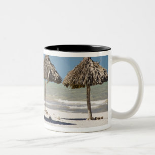 Tasse 2 Couleurs Mexique, péninsule du Yucatan, Progreso. Chaume