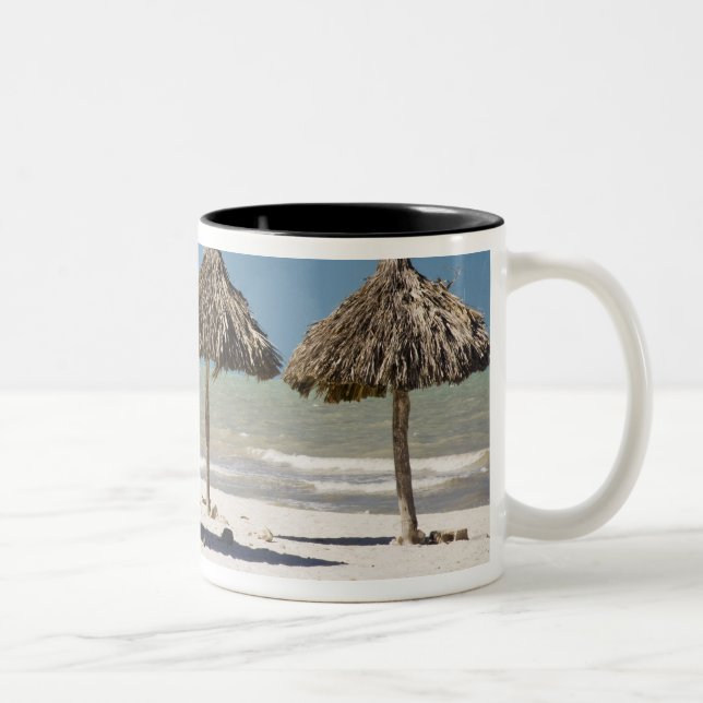 Tasse 2 Couleurs Mexique, péninsule du Yucatan, Progreso. Chaume (Droit)