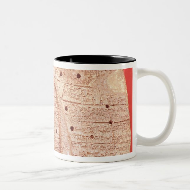 Tasse 2 Couleurs Modèle du foie d'un mouton (Droit)