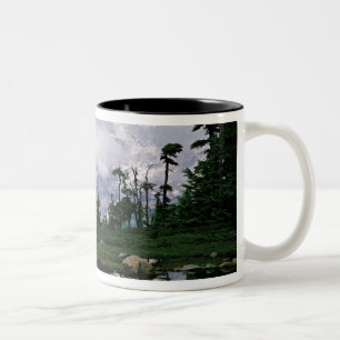 Tasse 2 Couleurs Mont Rainier reflété dans un lac de montagne