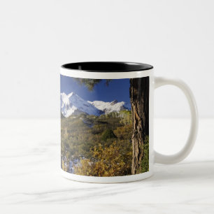 Tasse 2 Couleurs Montagnes San Juan et arbres d'Aspen en couleur de