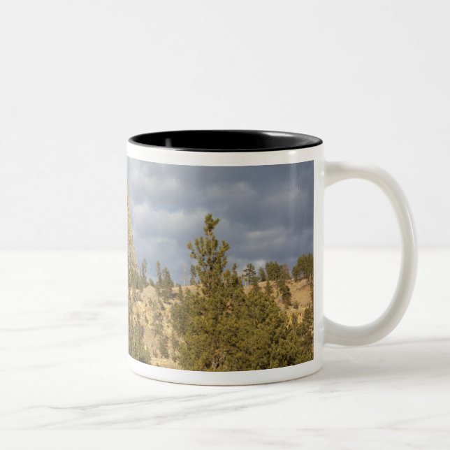 Tasse 2 Couleurs Monument national de Devils Tower (Droit)