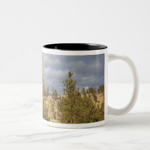 Tasse 2 Couleurs Monument national de la tour Devils
