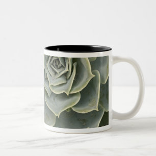 Tasse 2 Couleurs Motif de cactus