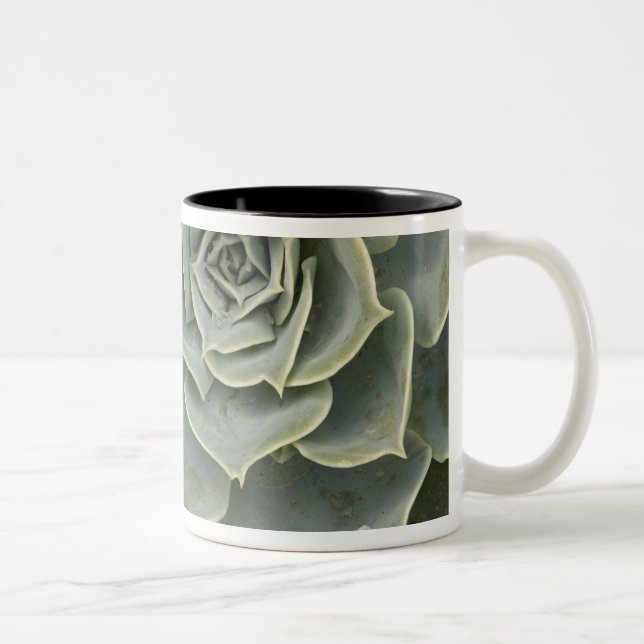 Tasse 2 Couleurs Motif de cactus (Droit)