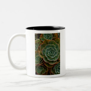 Tasse 2 Couleurs Motif de fleurs vertes Succulent Photographie Plan