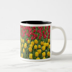 Tasse 2 Couleurs motif de jardin de tulipes, Jardins de Keukenhof,