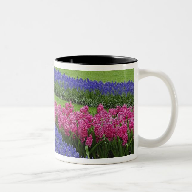 Tasse 2 Couleurs Motif de l'Hyacinthe du raisin, des tulipes et (Droit)