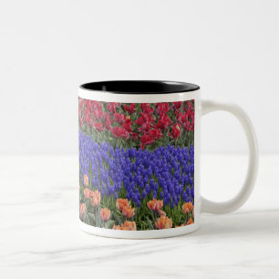 Tasse 2 Couleurs Motif de tulipes et de fleurs de jacinthe des vign