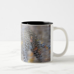 Tasse 2 Couleurs mouvement brouillé